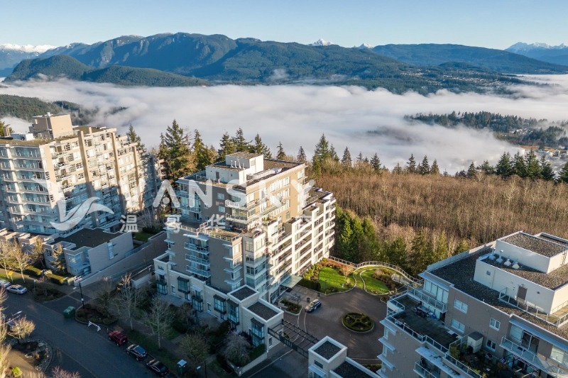 250908230142_Ariel pic.jpeg